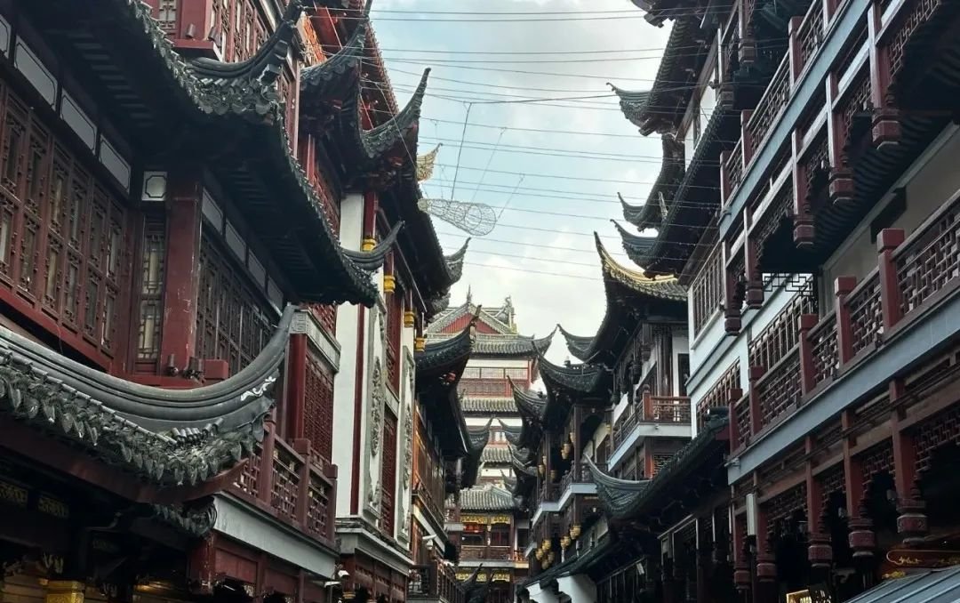 比生脉饮更强大的中成药，每天吃点，打通全身血管，让心脏年轻20岁 - 第2张