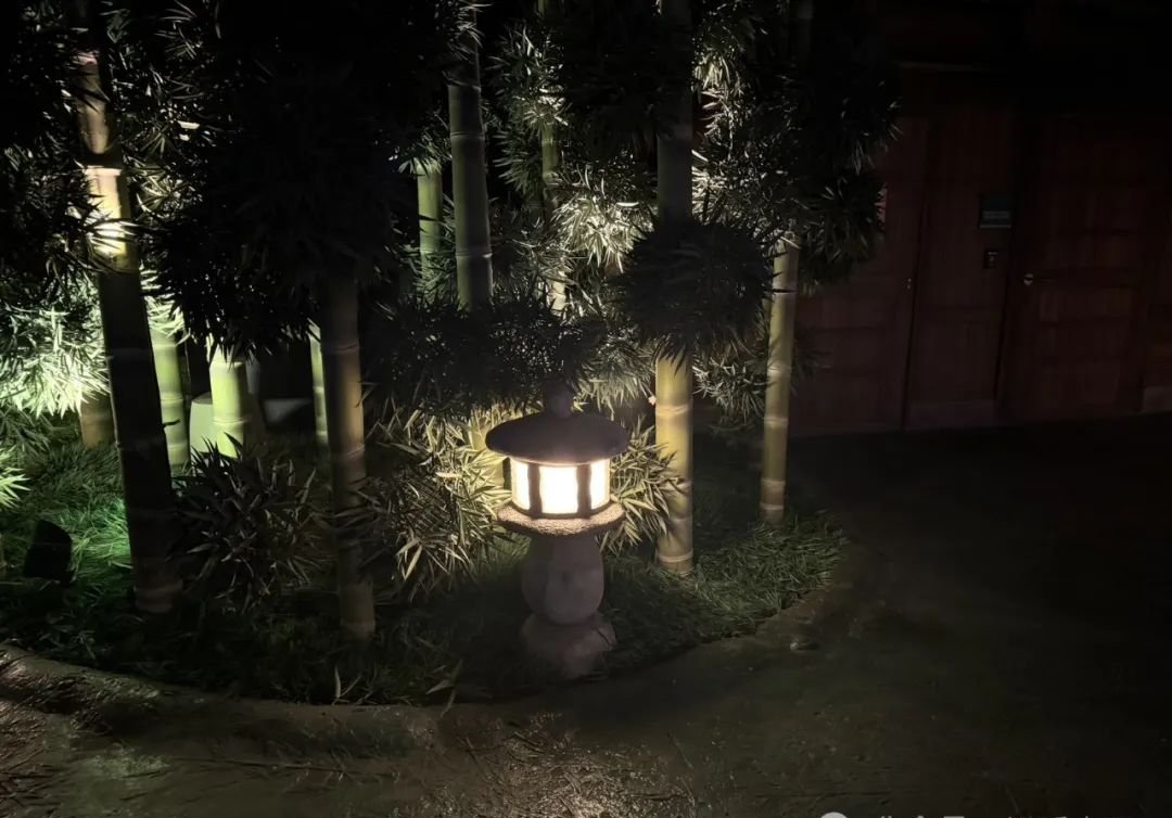 脸上这2处发黑,多半是血瘀,坚持吃它一个月,全身气血都通了 - 第2张 脸上这2处发黑,多半是血瘀,坚持吃它一个月,全身气血都通了 - 第2张