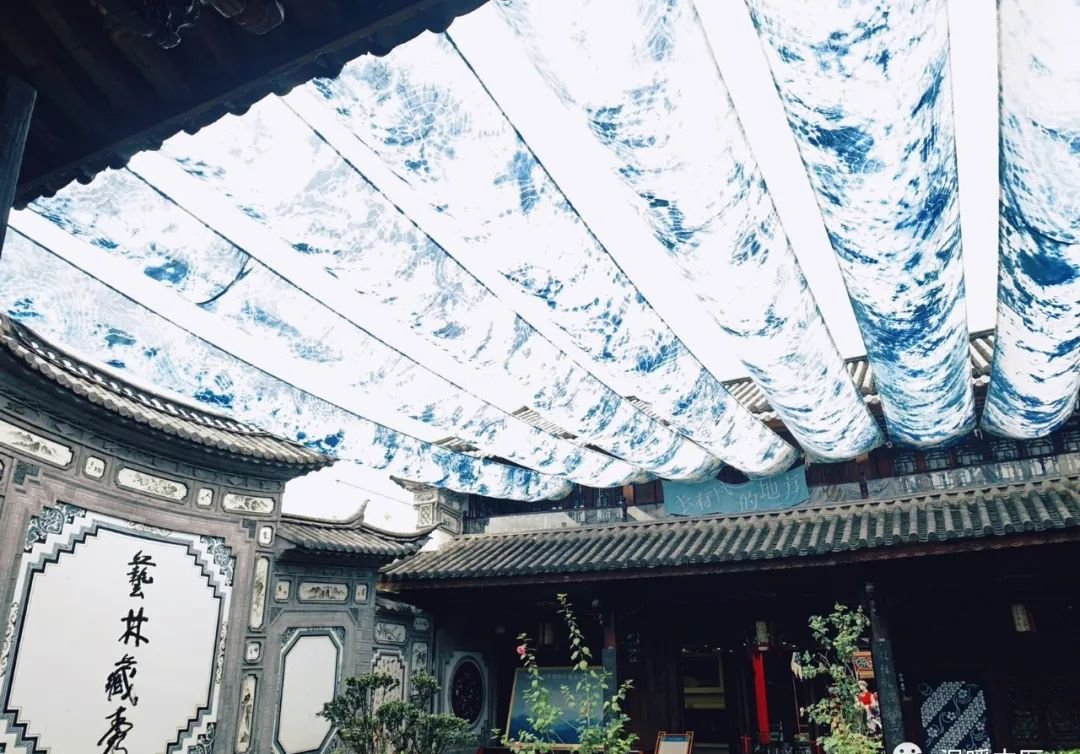 补脑第一名不是核桃而是它，每天泡水喝，提升记忆力 - 第2张