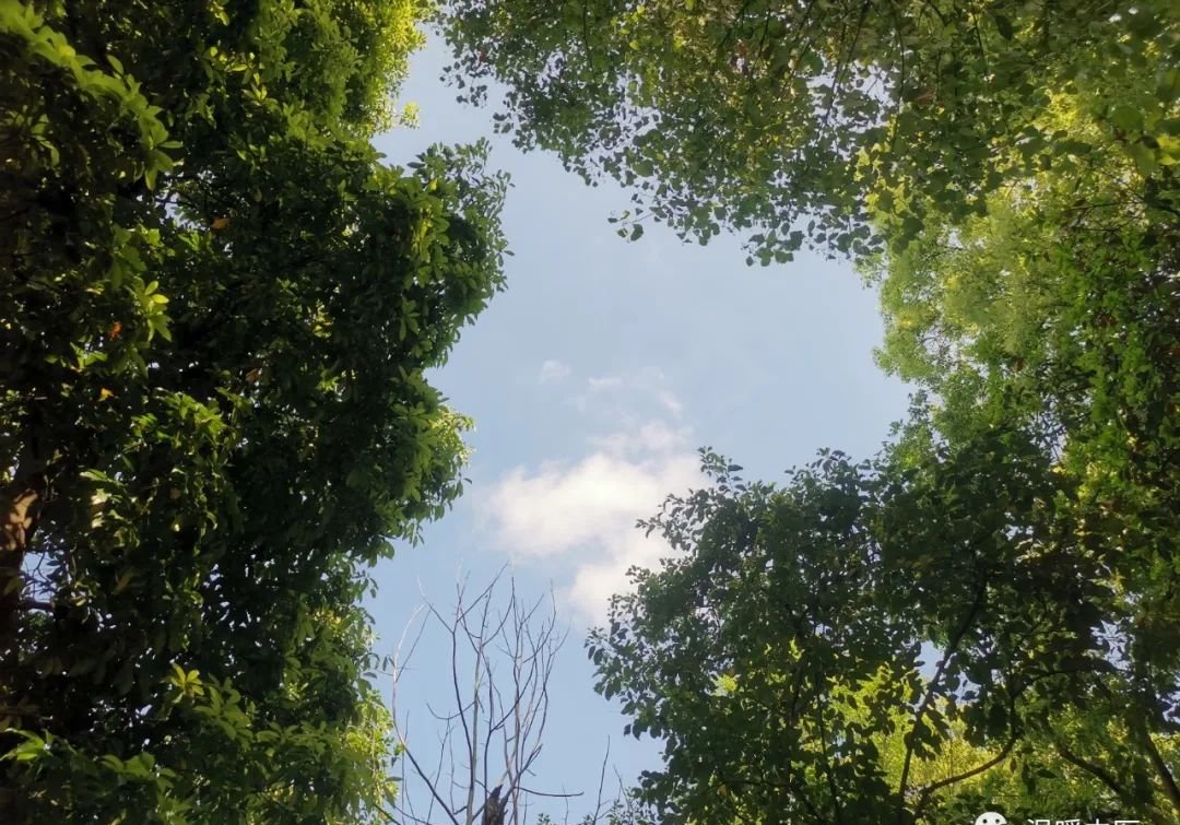 沉默的杀手——抑郁症,有一个中成药用对了就好了 - 第2张 沉默的杀手——抑郁症,有一个中成药用对了就好了 - 第2张