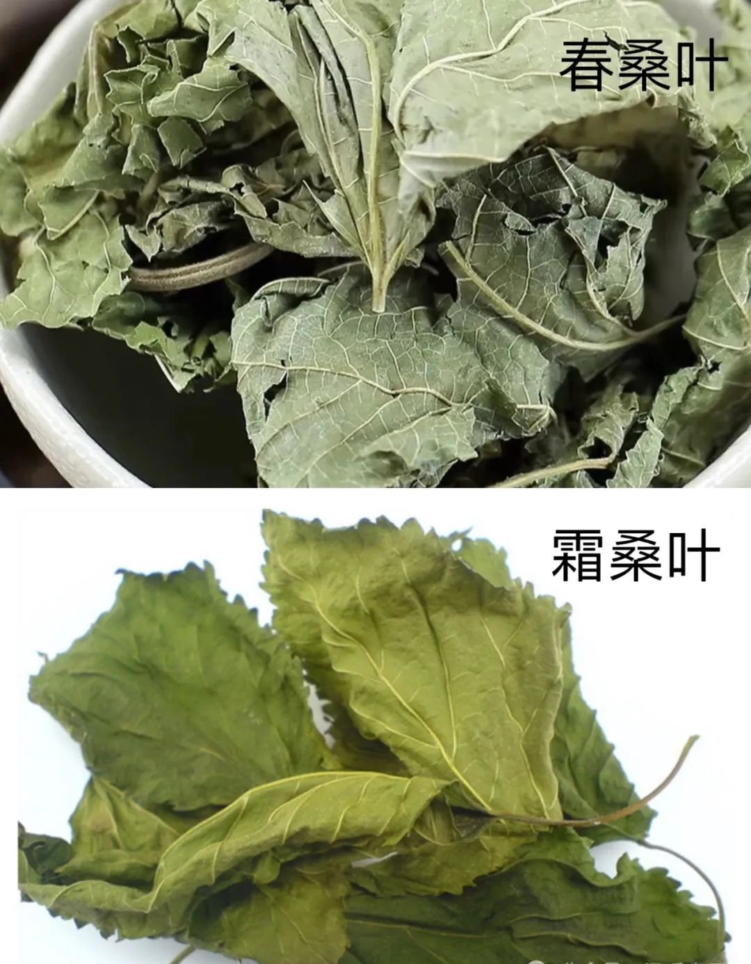 春天消肝火,水里加点它,让肝脏的火气泻出去 - 第3张 春天消肝火,水里加点它,让肝脏的火气泻出去 - 第3张