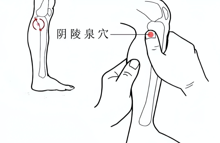 身上有个浊水窝,刮这里49下,全身湿气都排空 - 第3张 身上有个浊水窝,刮这里49下,全身湿气都排空 - 第3张