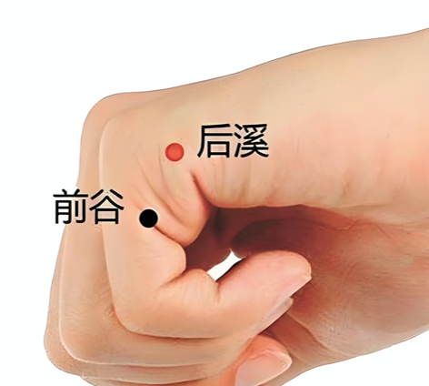 人体的阳气窝,拍一拍,让阳气充满全身,胜过一切大补之物 - 第4张 人体的阳气窝,拍一拍,让阳气充满全身,胜过一切大补之物 - 第4张