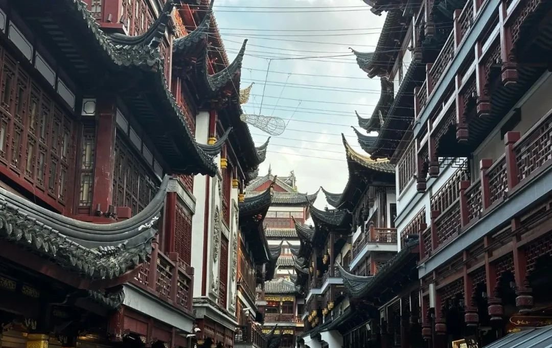 一个保肝的中成药，扫清肝炎、肝硬化、脂肪肝 - 第2张