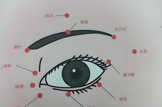 春养肝,趁着春天把这里揉通,肝血足了,眼睛亮了,睡眠好了 - 第3张 春养肝,趁着春天把这里揉通,肝血足了,眼睛亮了,睡眠好了 - 第3张