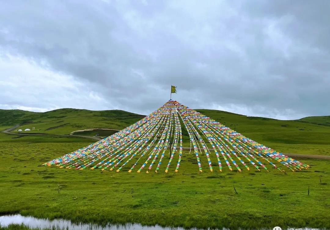 甲流高峰,这个中成药依旧是抵御这次流感的中坚力量 - 第2张 甲流高峰,这个中成药依旧是抵御这次流感的中坚力量 - 第2张
