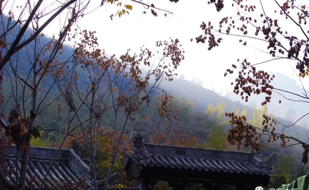 阳气不足的人入冬后要多吃,偷偷把阳气藏起来,手脚暖了不怕冷了,关键还不上火 - 第2张 阳气不足的人入冬后要多吃,偷偷把阳气藏起来,手脚暖了不怕冷了,关键还不上火 - 第2张