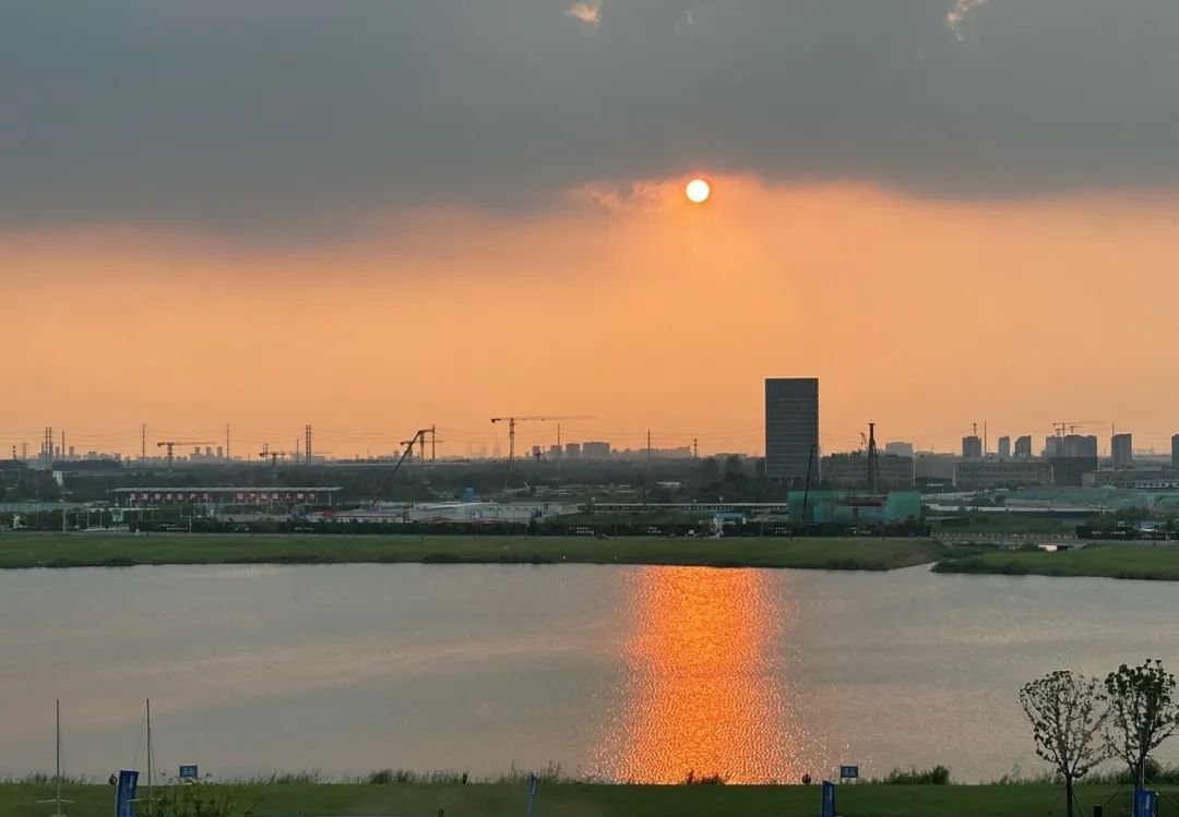 一个中成药补了气血又补阳,阳气、气血都足了,睡眠好了,抵抗力也强了 - 第2张 一个中成药补了气血又补阳,阳气、气血都足了,睡眠好了,抵抗力也强了 - 第2张