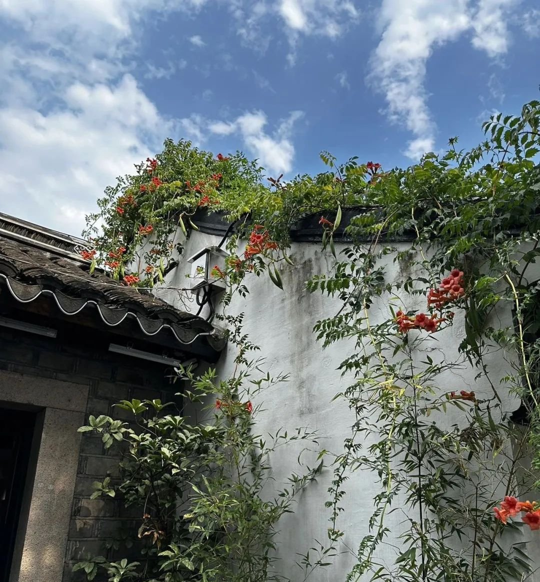 不用地黄丸,不用肾气丸,它才是真正低调的阴阳双补之王 - 第2张 不用地黄丸,不用肾气丸,它才是真正低调的阴阳双补之王 - 第2张