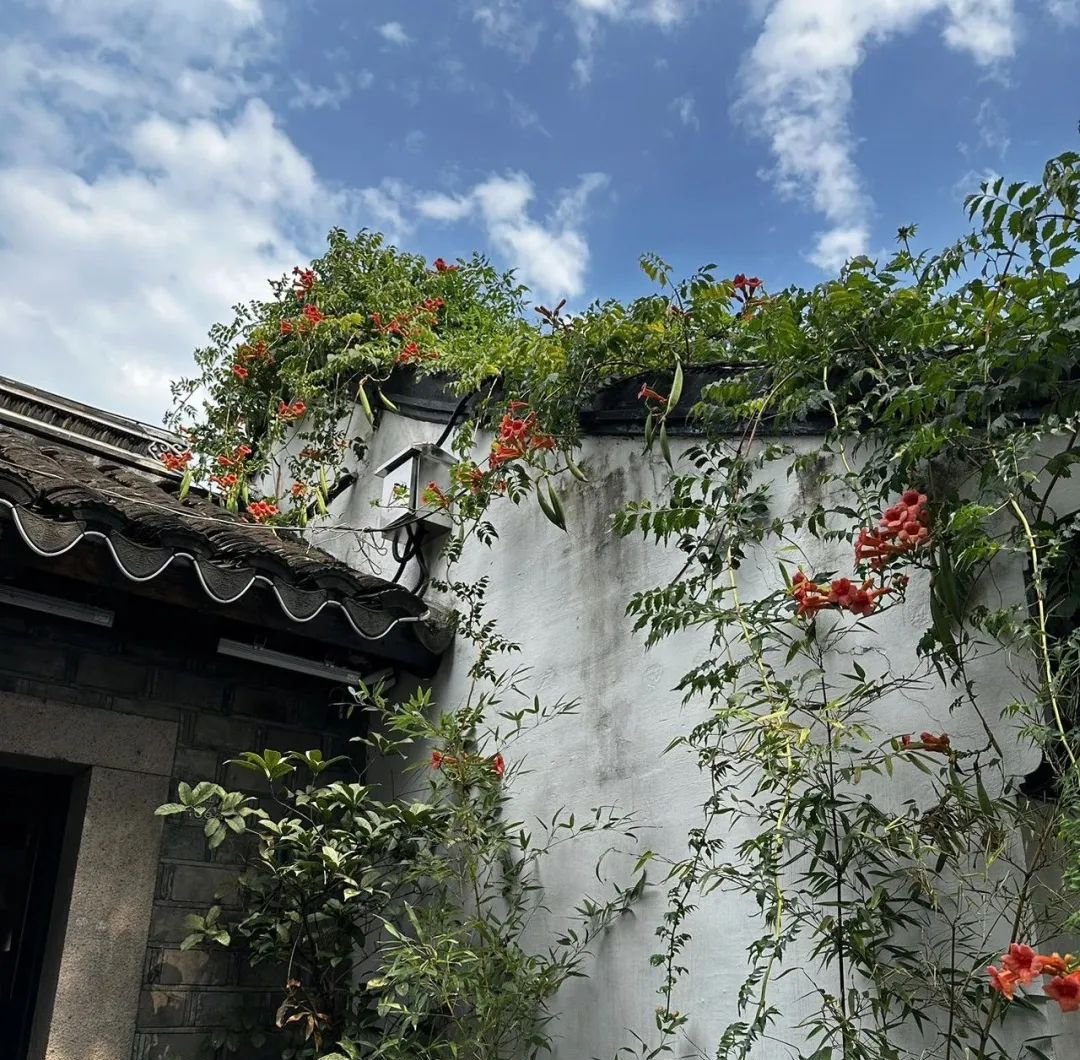 这个中成药是生脉饮的加强版,补气生津还不生痰 - 第2张 这个中成药是生脉饮的加强版,补气生津还不生痰 - 第2张