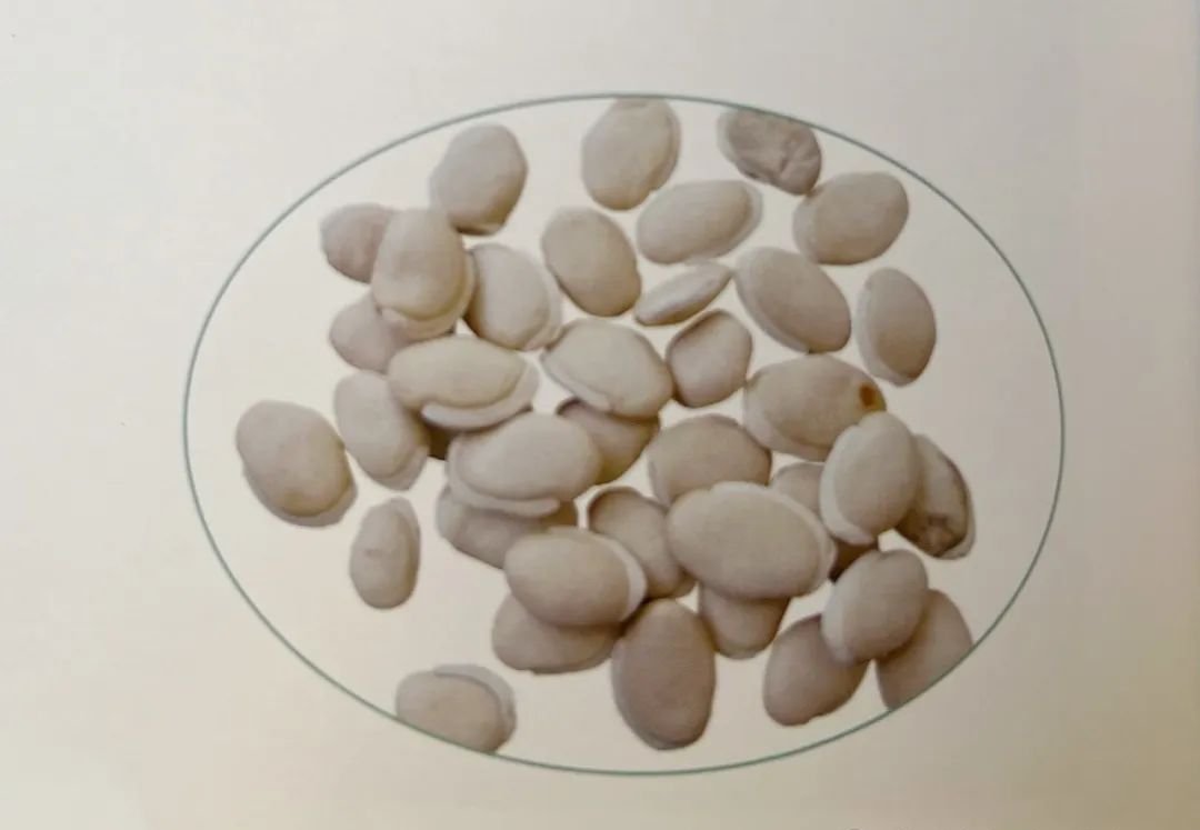 这个月开始把绿豆换成它,煮水当茶喝,排尽全身湿寒废水 - 第2张 这个月开始把绿豆换成它,煮水当茶喝,排尽全身湿寒废水 - 第2张