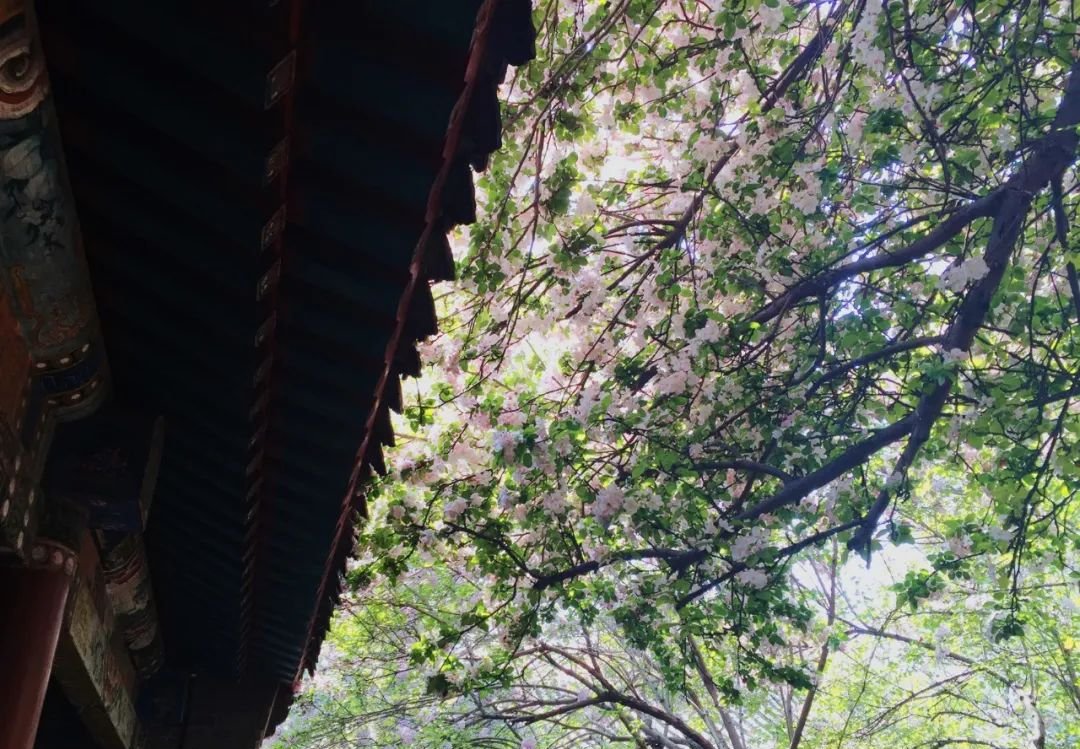 睡前用它抹脚底,坚持一个月,湿气没了寒气散了睡眠也好了 - 第2张 睡前用它抹脚底,坚持一个月,湿气没了寒气散了睡眠也好了 - 第2张