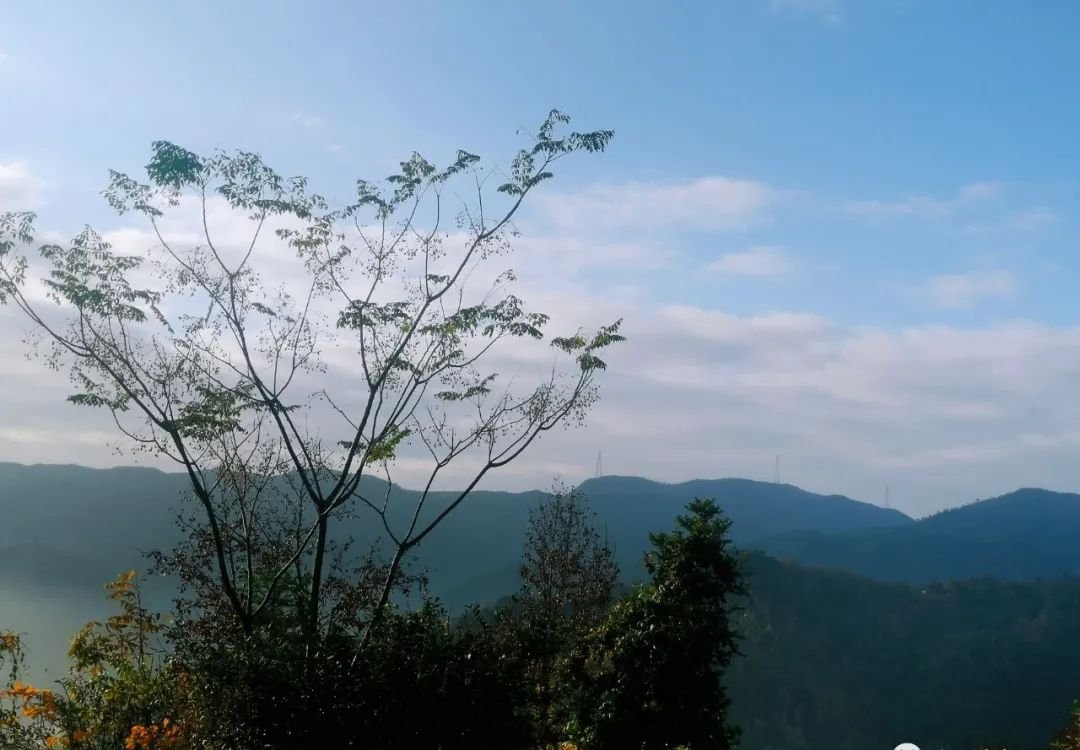 这个中成药,犹如冬天里的一把火,把虚寒的脾胃暖起来 - 第2张 这个中成药,犹如冬天里的一把火,把虚寒的脾胃暖起来 - 第2张