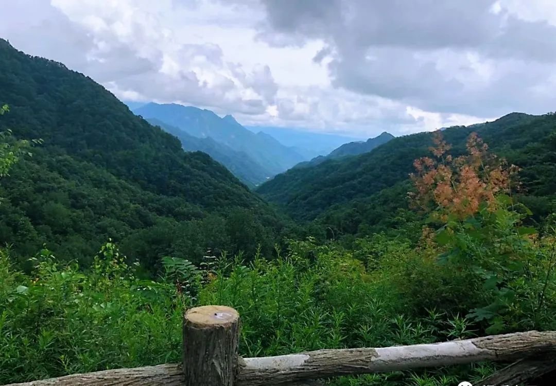 一吹风就头痛,有一个中成药是名副其实的止痛良药 - 第2张 一吹风就头痛,有一个中成药是名副其实的止痛良药 - 第2张