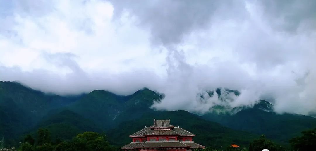 一个中成药,既能温脾,又能温肾,把脾和肾都补了 - 第2张 一个中成药,既能温脾,又能温肾,把脾和肾都补了 - 第2张