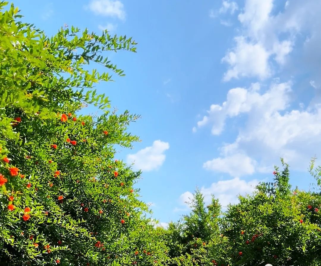 肚子硬是脾太虚了，一个中成药可以补 - 第2张