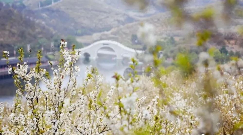 一个暖脾胃的方子,从此不再虚、寒、湿 - 第2张 一个暖脾胃的方子,从此不再虚、寒、湿 - 第2张