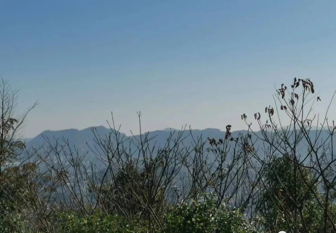 阳康后的身体虚弱，一个中成药可补 - 第2张