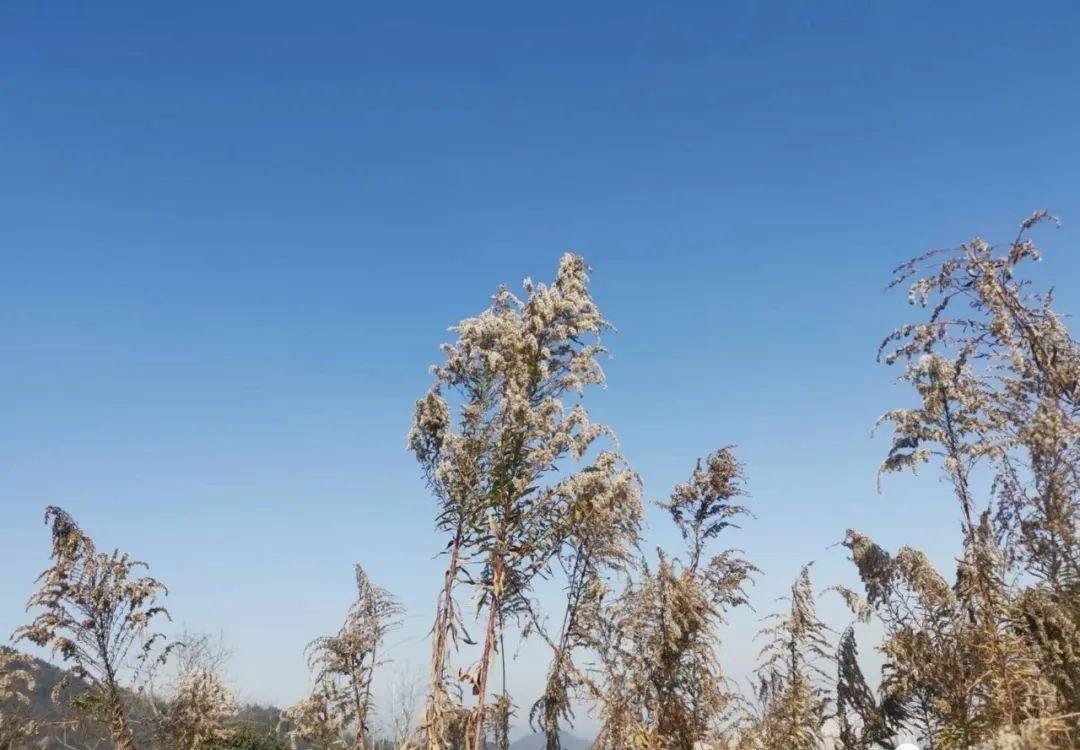 不用蒙脱石散,中医有哪些好用的止泻方? - 第2张 不用蒙脱石散,中医有哪些好用的止泻方? - 第2张