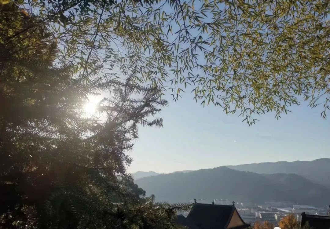 阳了以后味觉消失?解决方法在这里 - 第2张 阳了以后味觉消失?解决方法在这里 - 第2张