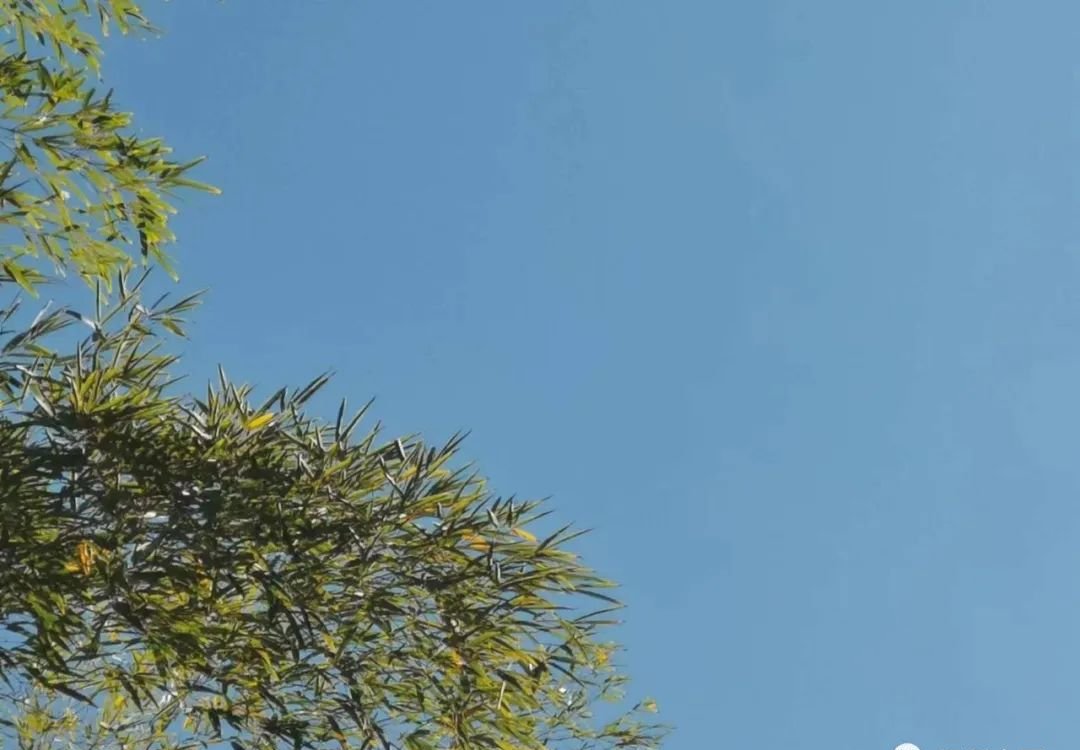 退烧药买不到,分享几个实用的退烧方 - 第2张 退烧药买不到,分享几个实用的退烧方 - 第2张