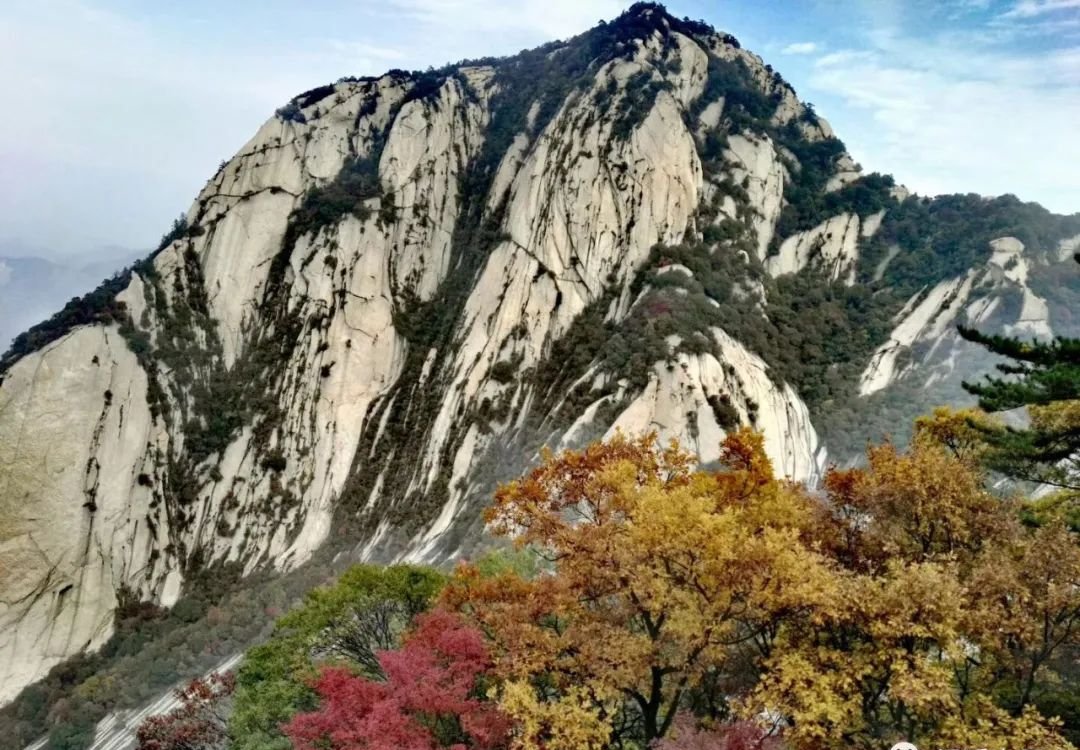 手腕上长个包,一个方子可消除 - 第2张 手腕上长个包,一个方子可消除 - 第2张