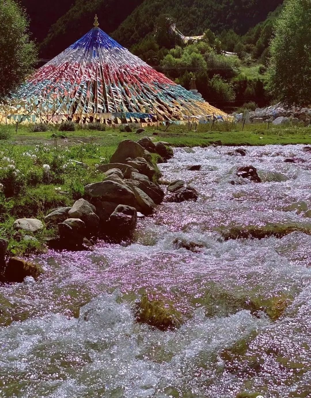 气虚了,病就来了,四味中药,壮一身之元气 - 第2张 气虚了,病就来了,四味中药,壮一身之元气 - 第2张
