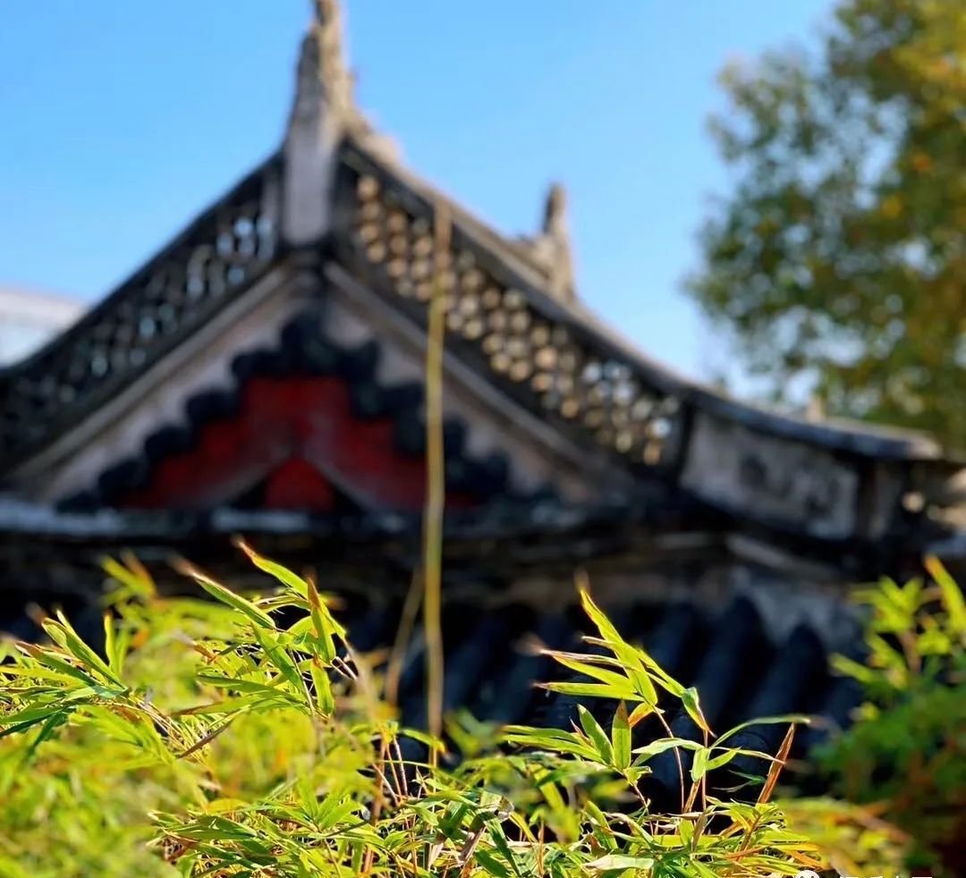 一个增强免疫力的千古名方 - 第1张 一个增强免疫力的千古名方 - 第1张