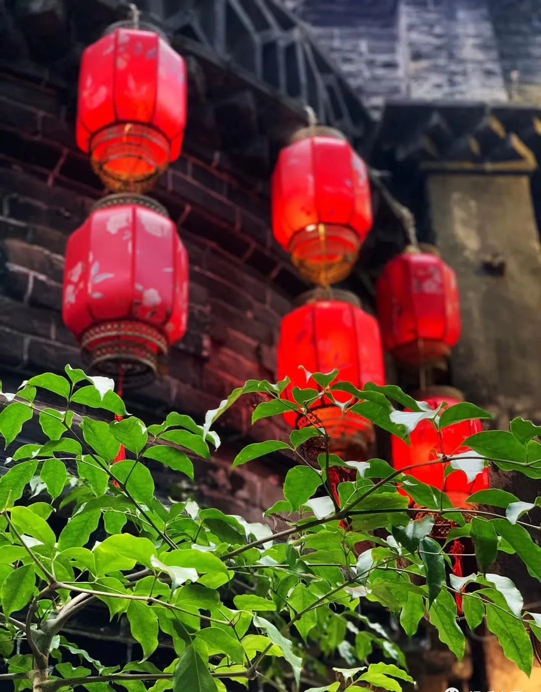 这个中成药，能泻肺中痰热 - 第1张