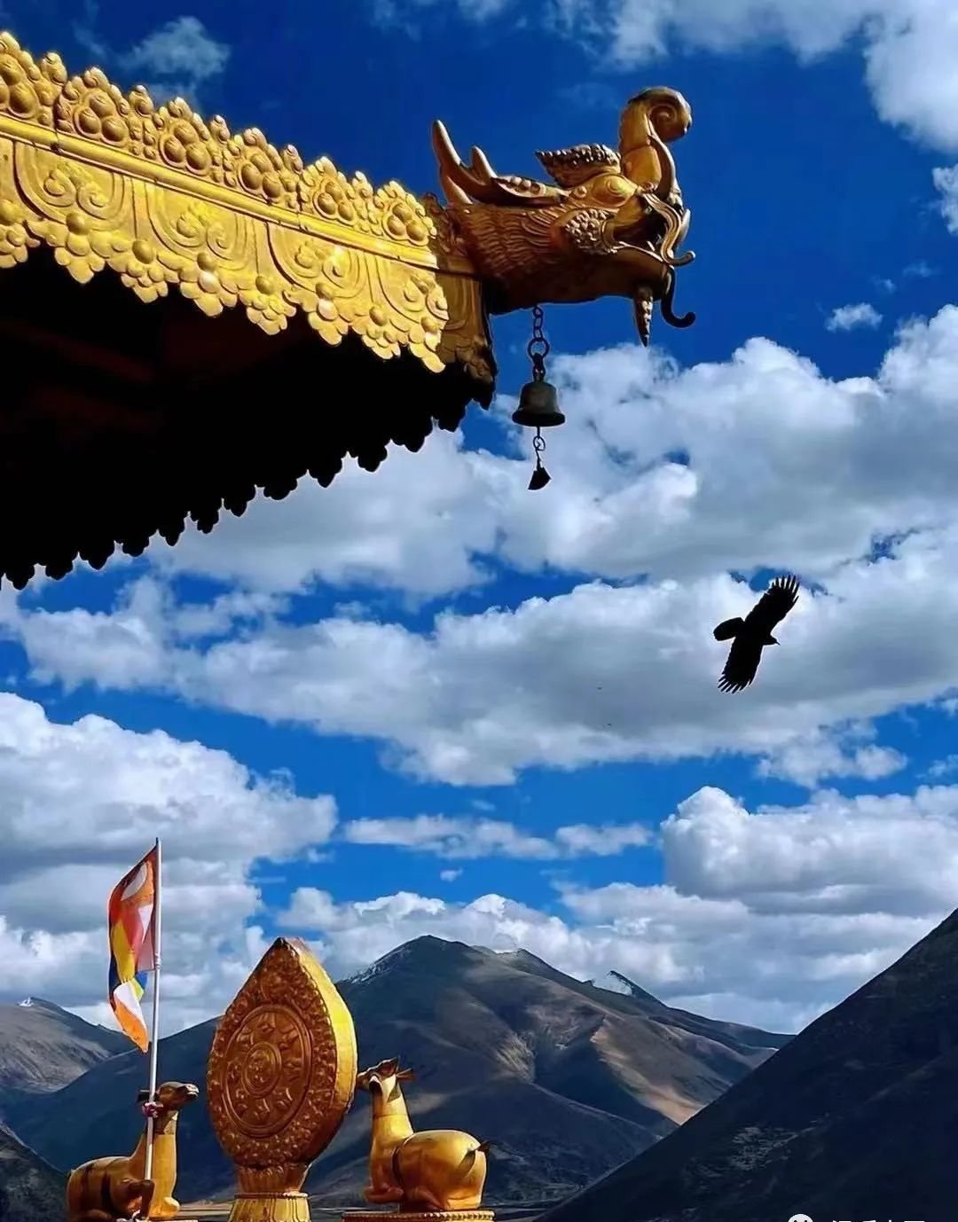 一个适合家中常备的中成药 - 第1张 一个适合家中常备的中成药 - 第1张