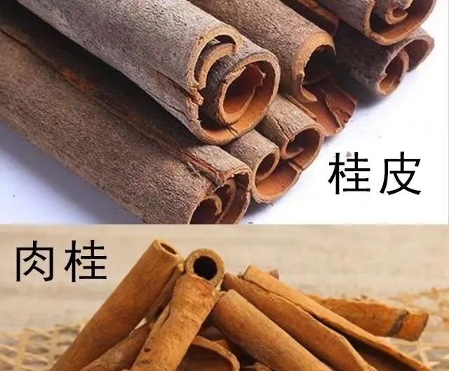 上焦火,下焦寒,又上火又怕冷,一味药泡茶喝,把旺盛的火气变元气 - 第2张 上焦火,下焦寒,又上火又怕冷,一味药泡茶喝,把旺盛的火气变元气 - 第2张