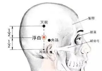 牢记全身疾病特效穴，专穴专用！ - 第4张