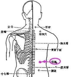 牢记全身疾病特效穴，专穴专用！ - 第6张