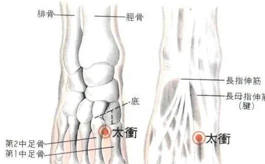 牢记全身疾病特效穴，专穴专用！ - 第7张