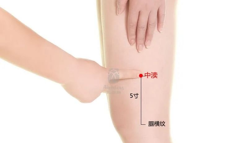 牢记全身疾病特效穴，专穴专用！ - 第8张