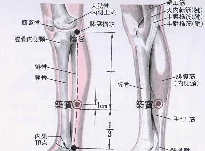 牢记全身疾病特效穴，专穴专用！ - 第9张