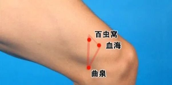 牢记全身疾病特效穴，专穴专用！ - 第11张