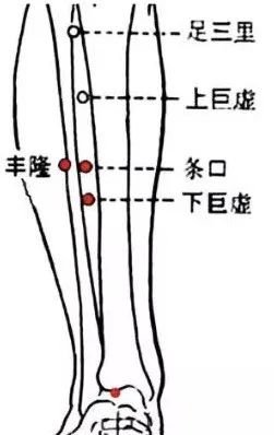 牢记全身疾病特效穴，专穴专用！ - 第15张
