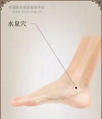 牢记全身疾病特效穴，专穴专用！ - 第17张
