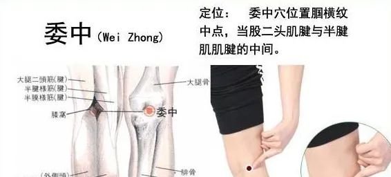 牢记全身疾病特效穴，专穴专用！ - 第23张