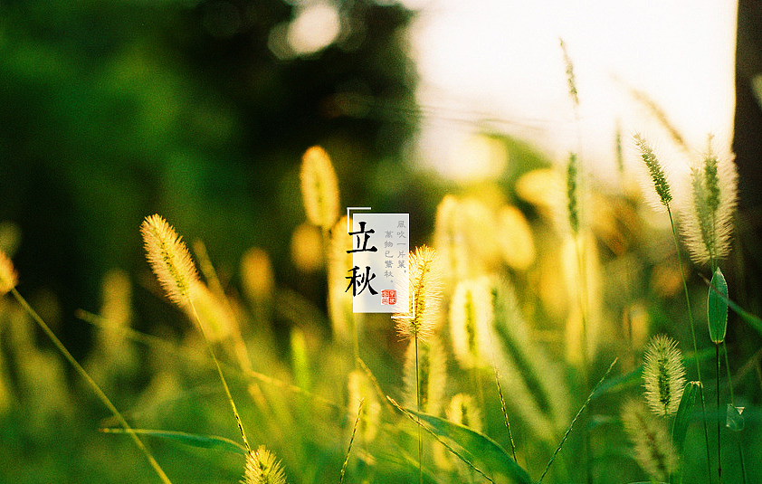 立秋之后百病来袭，有一个穴位一定要灸，大补！ - 第2张