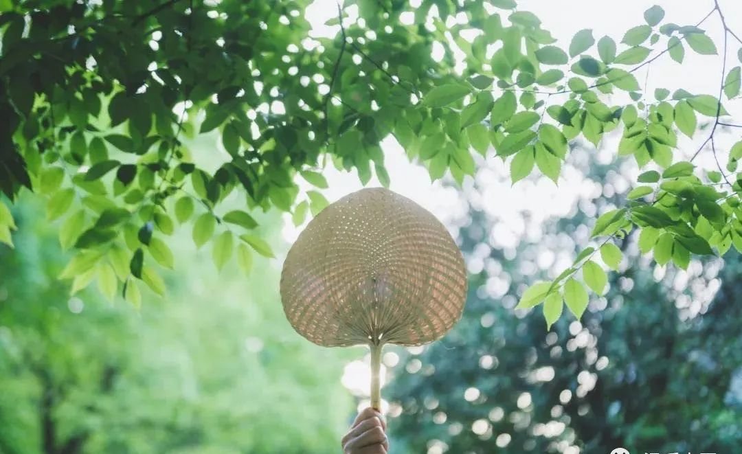 三伏是养肺黄金期：肺经大穴走顺了，百病自消 - 第2张