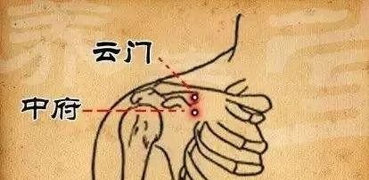 三伏是养肺黄金期：肺经大穴走顺了，百病自消 - 第3张