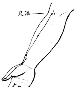 三伏是养肺黄金期：肺经大穴走顺了，百病自消 - 第5张