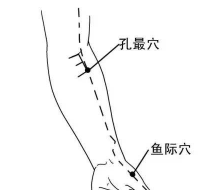 三伏是养肺黄金期：肺经大穴走顺了，百病自消 - 第6张