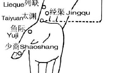 三伏是养肺黄金期：肺经大穴走顺了，百病自消 - 第8张