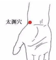 三伏是养肺黄金期:肺经大穴走顺了,百病自消 - 第9张 三伏是养肺黄金期:肺经大穴走顺了,百病自消 - 第9张