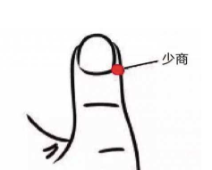 三伏是养肺黄金期：肺经大穴走顺了，百病自消 - 第11张