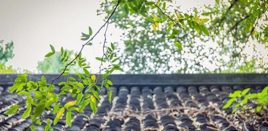 艾灸这里10分钟,打开全身气血开关 - 第3张 艾灸这里10分钟,打开全身气血开关 - 第3张