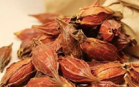 一味中药，通泻三焦！上清心肺之火，中泻胃火，下泻肾火，疗效独特 - 第3张